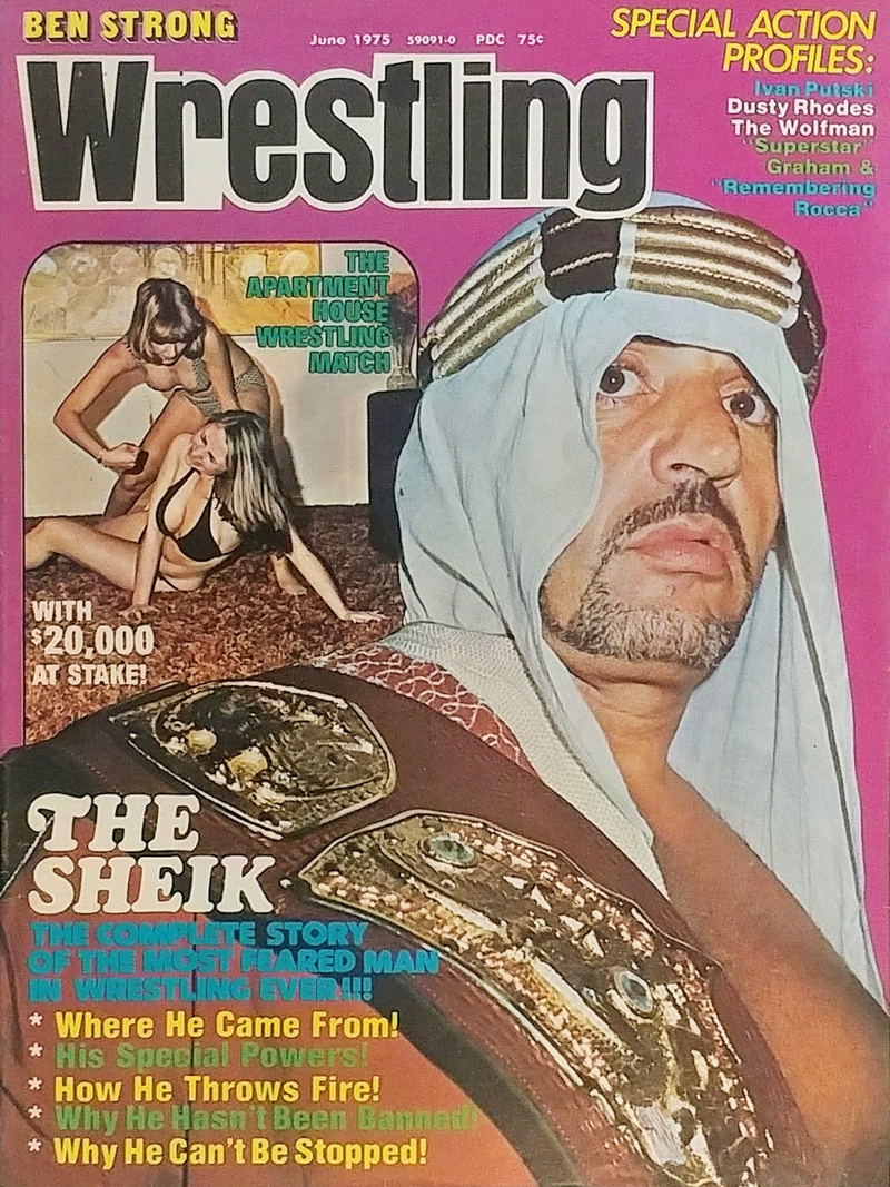 Illustration for article titled Wrestling Magazines Were Bloody, Dumb, And Sleazy, And I Loved Them
